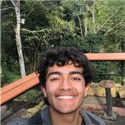 Profesor de español, estudiante de último semestre de filosofía enfocado en compresión y producción textual de texto argumentativo